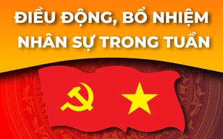 Điều động, bổ nhiệm cán bộ tại nhiều địa phương, đơn vị