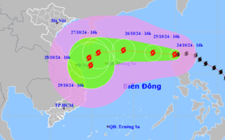 Thủ tướng Chính phủ chỉ đạo 11 tỉnh, thành phố cùng 8 Bộ chủ động ứng phó bão Trami