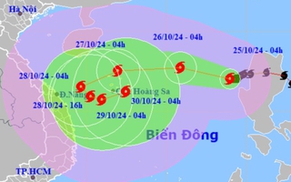 Bão Trami giật cấp 12, sóng biển cao 7-9 m, các tỉnh Trung Bộ khẩn trương  ứng phó