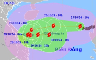 Dự báo hướng di chuyển dị thường của bão Trami