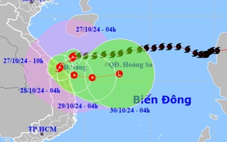 Bão Trami giật cấp 12 áp sát Đà Nẵng, mưa lớn 600 mm ở Trung Bộ