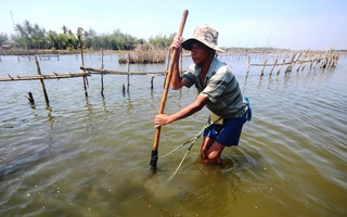 Hồi sinh dòng sông chảy ngang