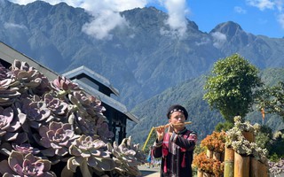 Fansipan, Sa Pa tưng bừng tổ chức lễ hội hoa sen đá trong ngày kích cầu du lịch lớn nhất năm 2024