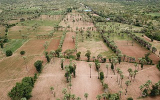 COP16 kêu gọi cấp thiết hành động để “hòa bình với thiên nhiên”