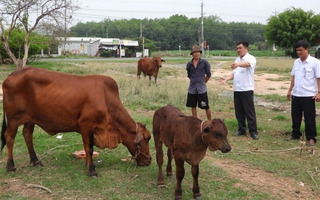 Bước đi vững chắc của Tây Ninh