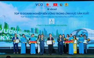 Top 100 Doanh nghiệp Bền vững năm 2024 có 14 đơn vị thuộc VRG