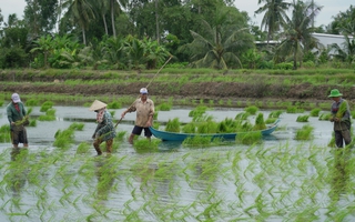 Nuôi trồng thuận theo tự nhiên