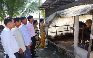 Sóc Trăng: Chính sách tín dụng ưu đãi ngày càng đi vào cuộc sống ở Ngã Năm