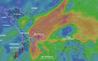 Chủ động ứng phó bão số 10