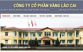 Dàn lãnh đạo cấp cao công ty Vàng Lào Cai đồng loạt nộp đơn từ nhiệm