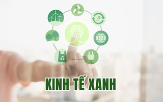 Kinh tế xanh đang sôi động, thu hút nhà đầu tư, doanh nghiệp tham gia