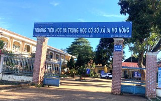 Hiệu trưởng lập khống hồ sơ, bán cây xanh, cho dạy thay chỉ bị yêu cầu “nghiêm khắc tự kiểm điểm”