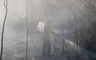 Cháy lớn đe dọa Vườn quốc gia Phú Quốc