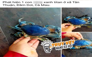 Xác minh thông tin cua biển có màu tím xanh gây "bão mạng" ở Cà Mau