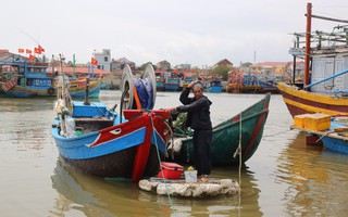 Làng biển ở Quảng Bình có đặc sản khiến các Vua thời Hậu Lê "mê như điếu đổ"