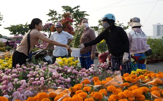 Khai mạc chợ hoa xuân giá "hạt dẻ"