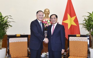 Bộ trưởng Bùi Thanh Sơn tiếp Trợ lý Bộ trưởng Ngoại giao Trung Quốc Nông Dung
