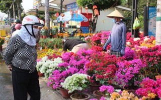 Một năm khó khăn, thương lái ở Bình Dương lo hoa ế đến đêm 30 Tết