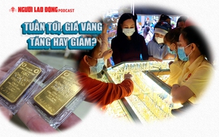 Tuần tới, giá vàng tăng hay giảm?