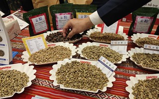Bất ngờ với danh sách doanh nghiệp xuất khẩu cà phê rang xay hàng đầu Việt Nam