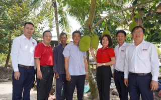 Một nông dân trồng mít Thái tiết lộ cách “tích tiểu thành đại”
