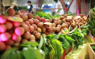 ASEAN là thị trường rau quả số 2 của Việt Nam
