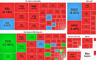 Chứng khoán bị bán tháo, gần 800 mã cổ phiếu chìm trong sắc đỏ