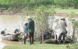 Giữ lại Khu bảo tồn thiên nhiên đất ngập nước Tiền Hải diện tích 12.500 ha