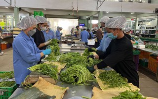Chuỗi cung ứng bền vững cho hàng Việt