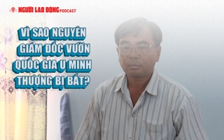 Vì sao nguyên Giám đốc Vườn Quốc gia U Minh Thượng bị bắt?