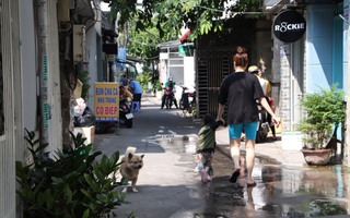 Quản lý chó, mèo sao cho hiệu quả?