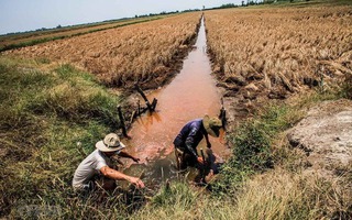 Thủ tướng: Không để người dân thiếu nước sinh hoạt