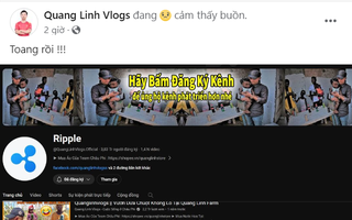 Sau Độ Mixi, đến kênh Youtube Quang Linh Vlogs và Đông Paulo Vlogs bị “tấn công”