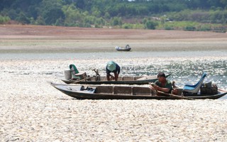 Cá chết nổi trắng hồ Sông Mây ở Đồng Nai