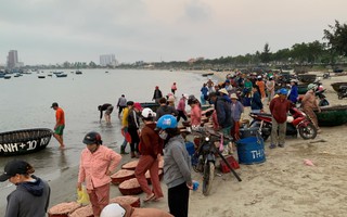 Khu chợ ven biển Đà Nẵng, chỉ bán độc nhất một loại hải sản