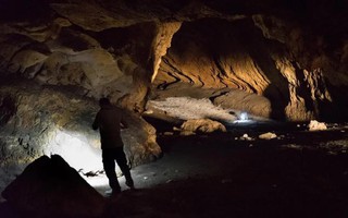 Tìm ra nơi Homo sapiens pha trộn dòng máu khác loài