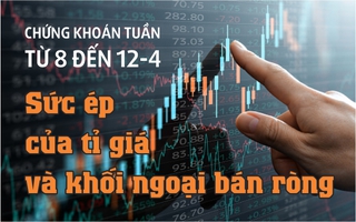 Infographic: Chứng khoán tuần tới (8 đến 12-4): Sức ép của tỉ giá và khối ngoại bán ròng