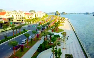 Rà soát các dự án trồng cây xanh tại Quảng Ninh theo yêu cầu của Bộ Công an