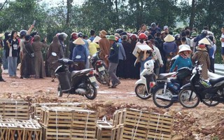 Nhốn nháo từ những "tay máy quốc dân"