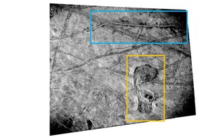 NASA chụp được "Thú mỏ vịt" di chuyển ở thế giới ngoài hành tinh