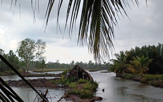 Người phụ nữ ở Cà Mau bị sét đánh tử vong ngoài ao tôm