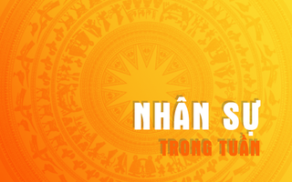 Nhân sự trong tuần: Bổ nhiệm, điều động nhiều chức danh