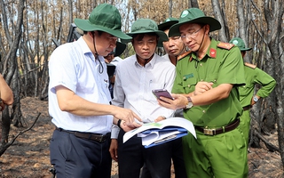Chủ tịch tỉnh Đồng Tháp lên tiếng sau vụ cháy Vườn Quốc gia Tràm Chim