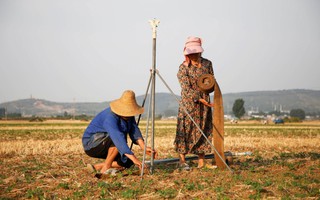 Thời tiết khắc nghiệt đe dọa an ninh lương thực