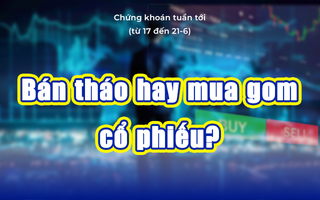 Chứng khoán tuần tới (từ 17 đến 21-6): Bán tháo hay mua gom cổ phiếu?