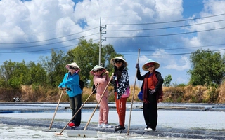 Ở nơi đảo trong đảo