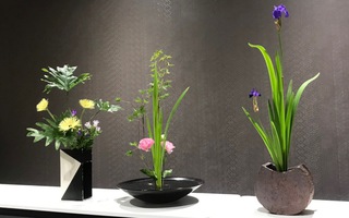 Trải nghiệm nghệ thuật cắm hoa Ikebana Nhật Bản