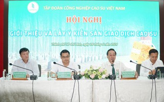 Sắp có sàn giao dịch cao su