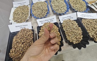 Giá cà phê Robusta vượt Arabica, chuyện chưa từng có trong hơn 50 năm