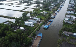 Hối hả vận chuyển cát biển về dự án cao tốc ở Cà Mau